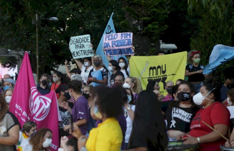 Diário de Santa Maria: Grupo de mulheres faz protesto em Santa Maria